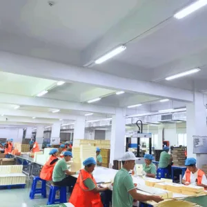 Packaging Workshop with Workers Designing