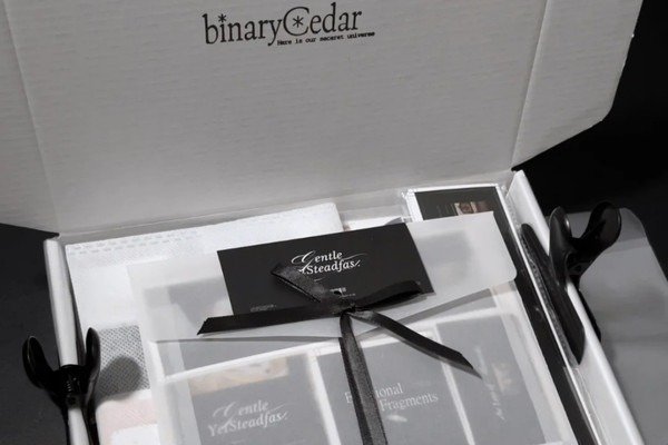 simple branded boxes with stickers and sleeves