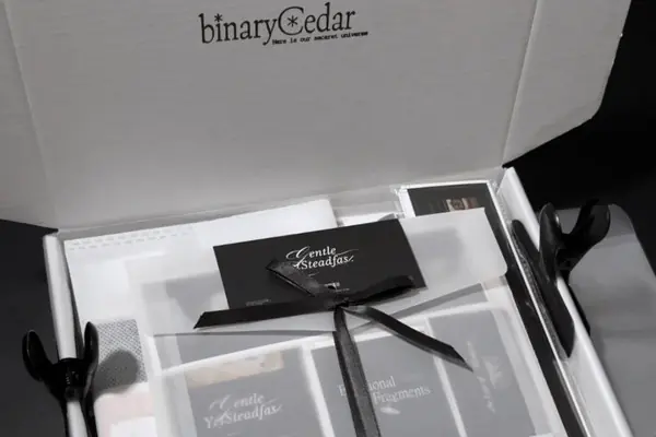 simple branded boxes with stickers and sleeves